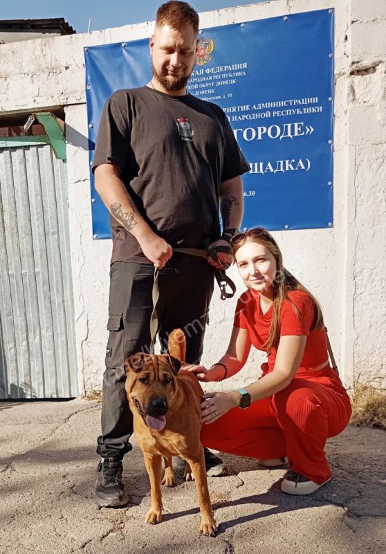 Алексей Кулемзин: Каждый день работники предприятия «Животные в городе» выходят на улицы, чтобы протянуть руку помощи бездомным животным Алексей Кулемзин: Каждый день работники предприятия «Животные в городе» выходят на улицы, чтобы протянуть руку помощи бездомным животным