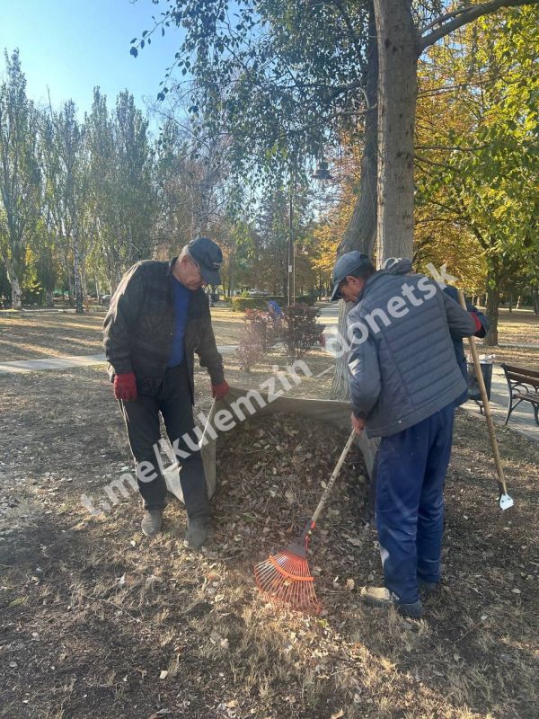 Продолжается активная работа по благоустройству парковых пространств Продолжается активная работа по благоустройству парковых пространств