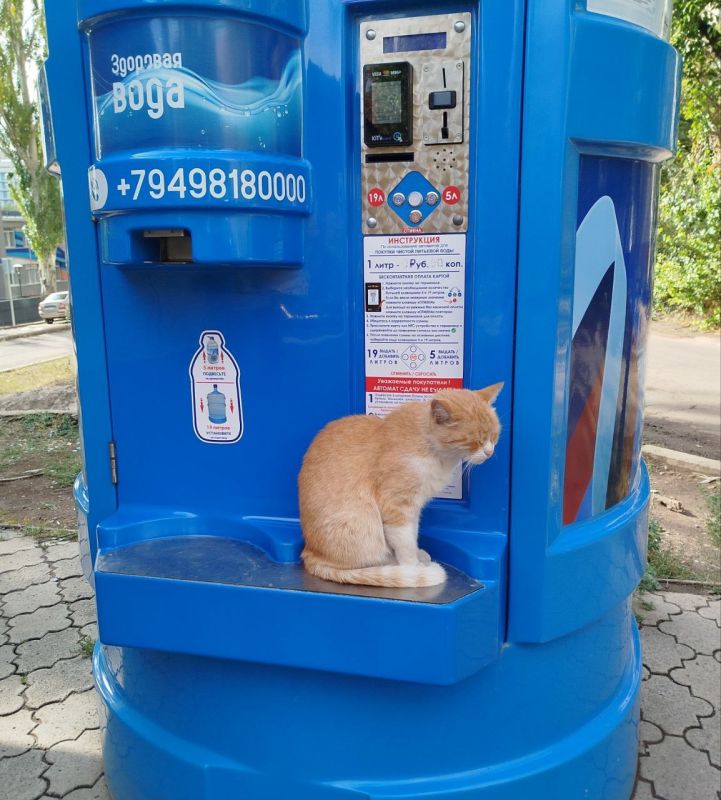 Рыжий хвостач контролирует качество воды Рыжий хвостач контролирует качество воды