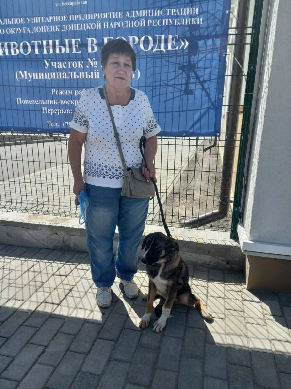«Большая радость - видеть, как они выздоравливают и обретают дом»: В Донецке продолжают помогать бездомным животным «Большая радость - видеть, как они выздоравливают и обретают дом»: В Донецке продолжают помогать бездомным животным