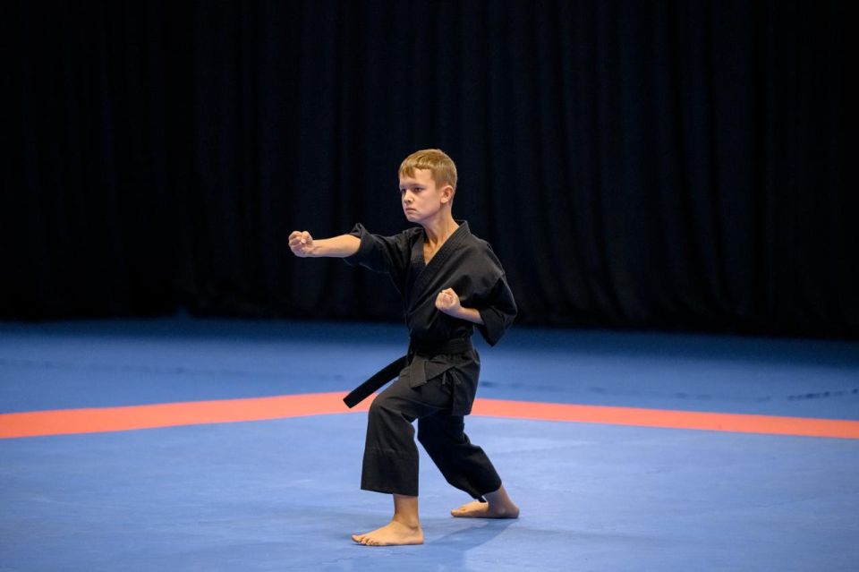 Грядут важные изменения в федеральном стандарте спортивной подготовки по виду спорта «кикбоксинг» Грядут важные изменения в федеральном стандарте спортивной подготовки по виду спорта «кикбоксинг»