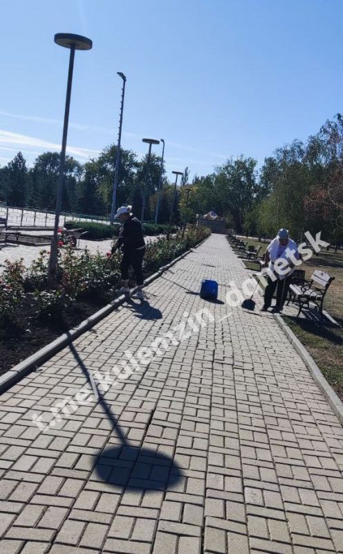 Продолжается активная работа по благоустройству парковых пространств Продолжается активная работа по благоустройству парковых пространств