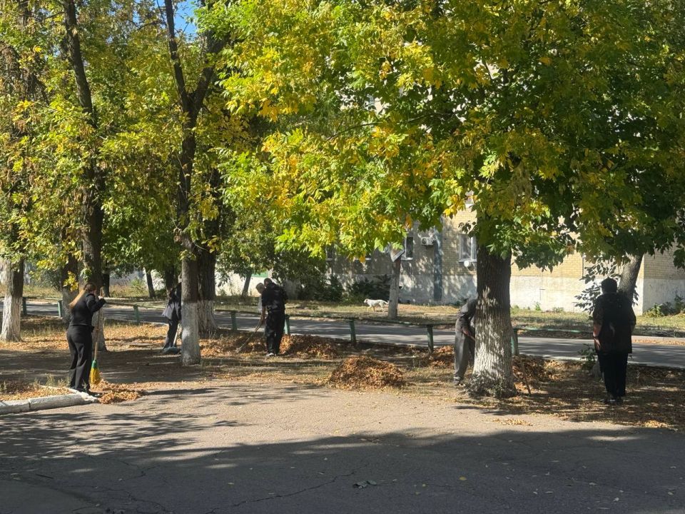 Ждановка активно участвует во Всероссийском субботнике «Зеленая Россия» Ждановка активно участвует во Всероссийском субботнике «Зеленая Россия»