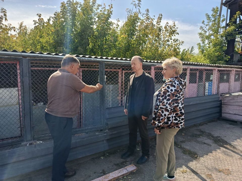 Роман Конев: В Горловке реализуется партийный проект Единой России «Защита животного мира» Роман Конев: В Горловке реализуется партийный проект Единой России «Защита животного мира»