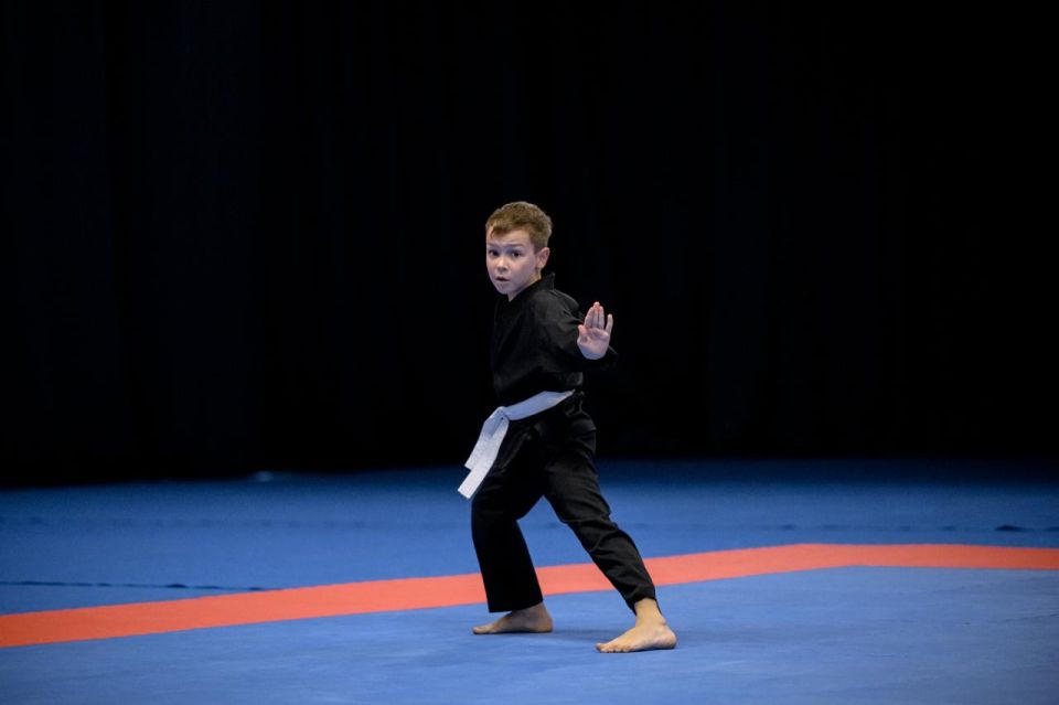 Грядут важные изменения в федеральном стандарте спортивной подготовки по виду спорта «кикбоксинг» Грядут важные изменения в федеральном стандарте спортивной подготовки по виду спорта «кикбоксинг»