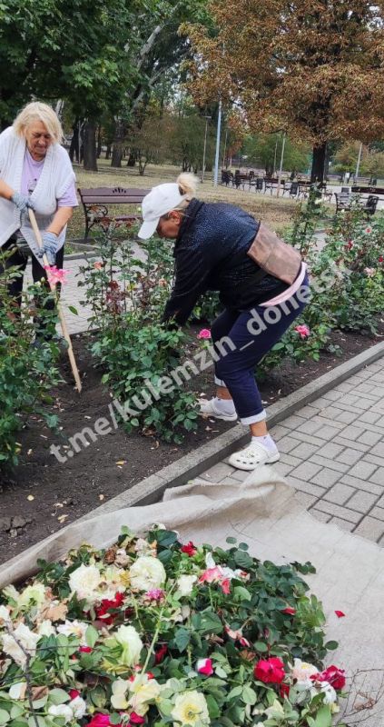 Продолжается активная работа по благоустройству парковых пространств Продолжается активная работа по благоустройству парковых пространств