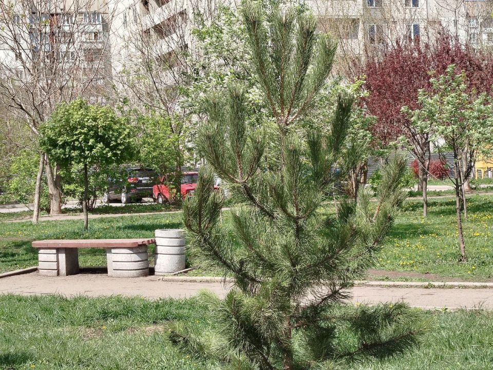 Валентин Левченко: Уважаемые жители Киевского района! Валентин Левченко: Уважаемые жители Киевского района!