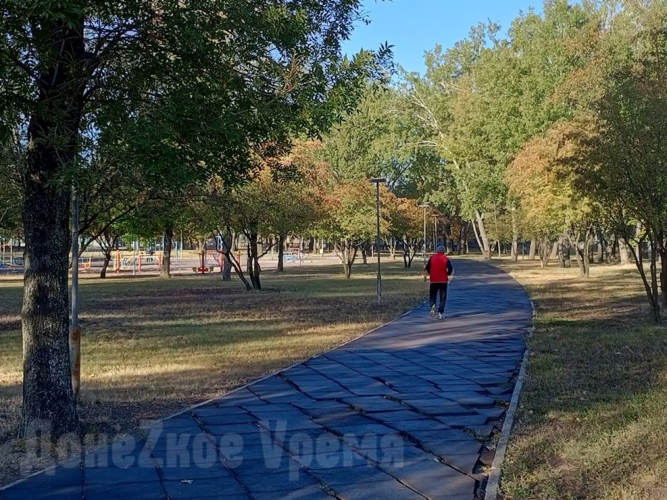 Приятно удивляет чистотой и цветущими розами: главный парк Петровского района Донецка возвращается к жизни Приятно удивляет чистотой и цветущими розами: главный парк Петровского района Донецка возвращается к жизни