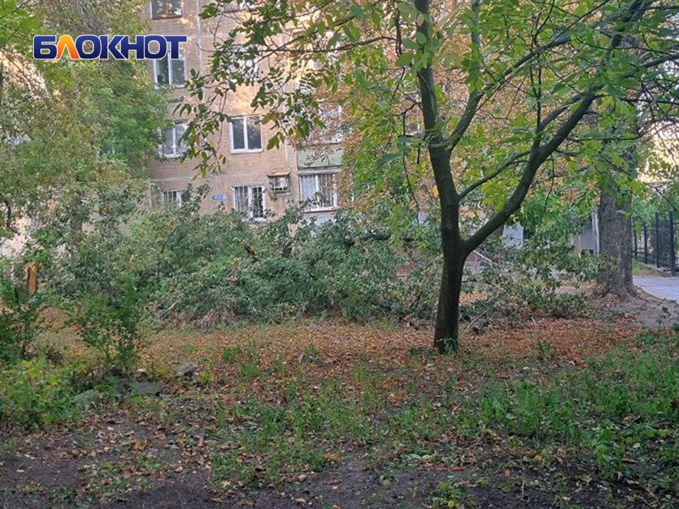 Дворы на улице Артёма в Донецке стали похожи на испытательный полигон из-за мусора Дворы на улице Артёма в Донецке стали похожи на испытательный полигон из-за мусора