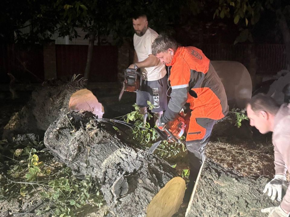 В Ждановке аварийная бригада Магаданской области помогла убрать упавшее дерево с проезжей части В Ждановке аварийная бригада Магаданской области помогла убрать упавшее дерево с проезжей части