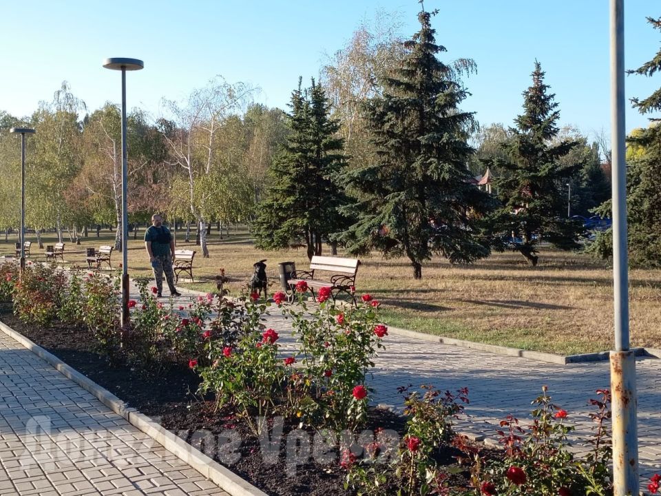Приятно удивляет чистотой и цветущими розами: главный парк Петровского района Донецка возвращается к жизни Приятно удивляет чистотой и цветущими розами: главный парк Петровского района Донецка возвращается к жизни