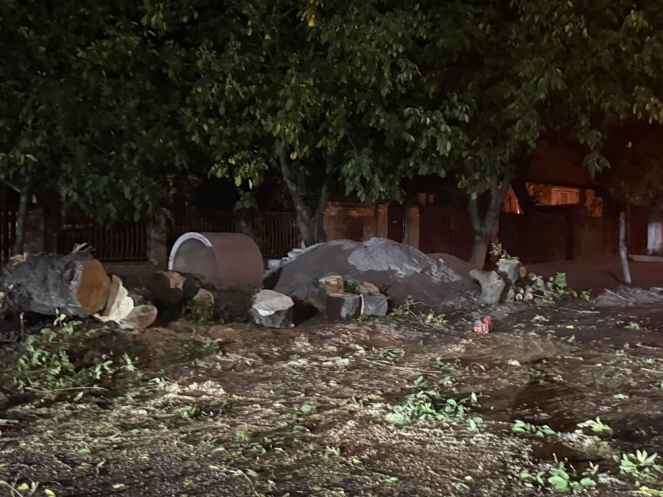 В Ждановке аварийная бригада Магаданской области помогла убрать упавшее дерево с проезжей части В Ждановке аварийная бригада Магаданской области помогла убрать упавшее дерево с проезжей части