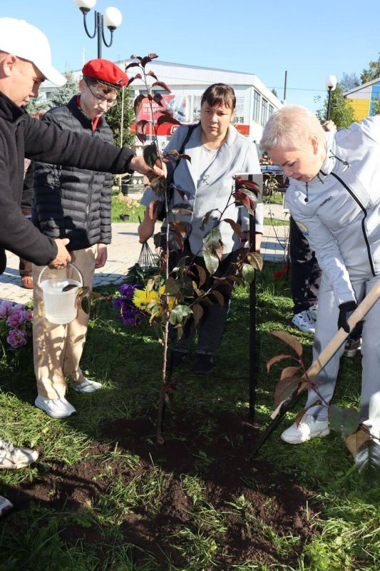 �������� ������������ ������