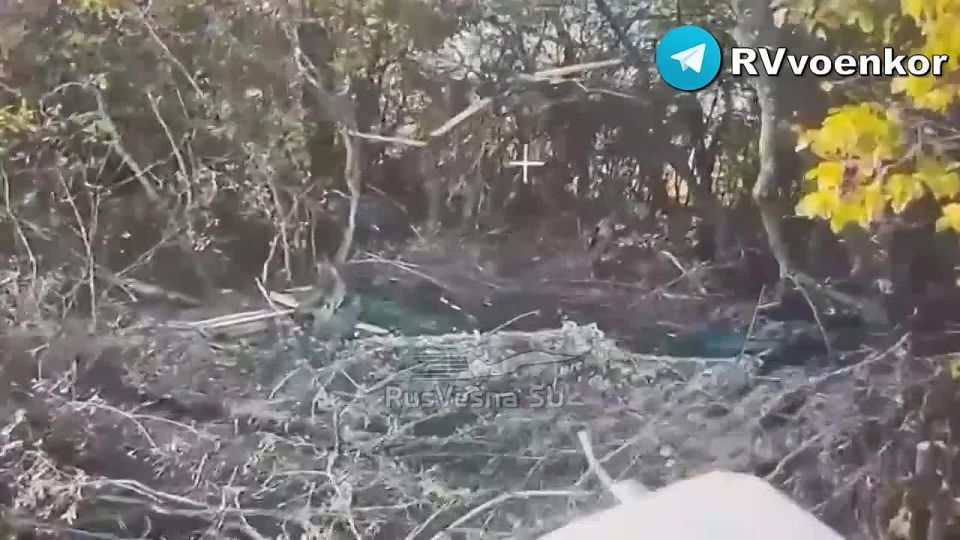 Битва у Покровска: «тважные» днём и ночью жгут технику, роботов и пехоту врага