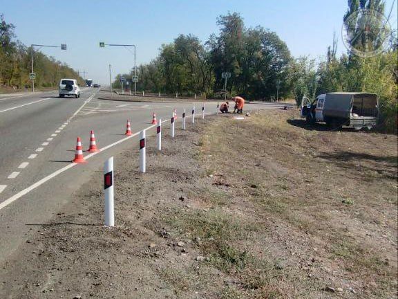 #свод_за_сутки #летнее_содержание #свод_за_сутки #летнее_содержание