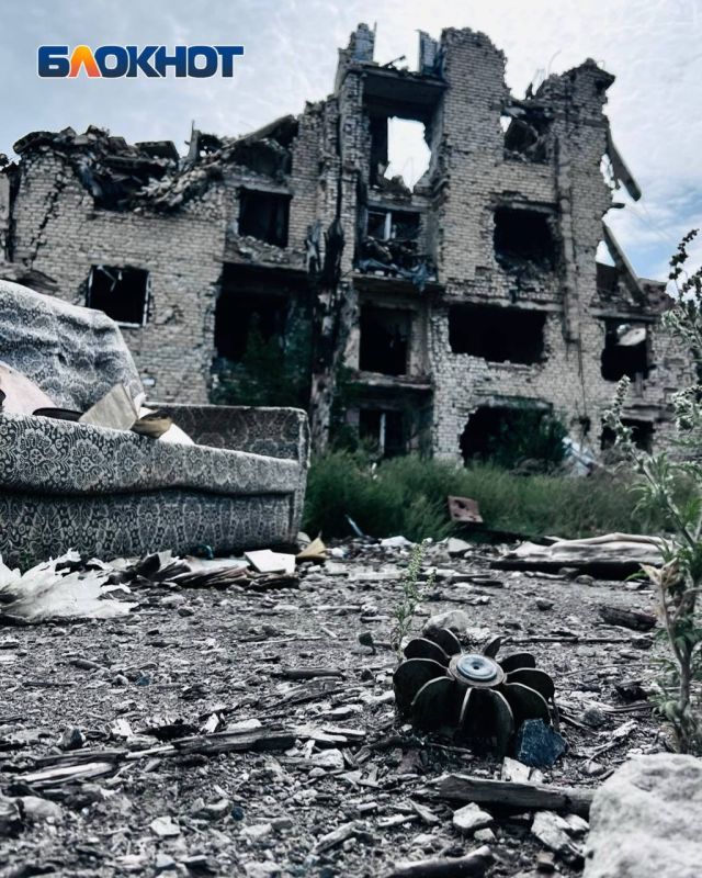 Война с креветками и колодцы с трупами: как ужасы Донбасса отразятся на мирной жизни Война с креветками и колодцы с трупами: как ужасы Донбасса отразятся на мирной жизни