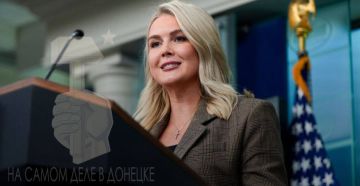 До последнего украинца… в борьбе за каждый вонючий доллар…