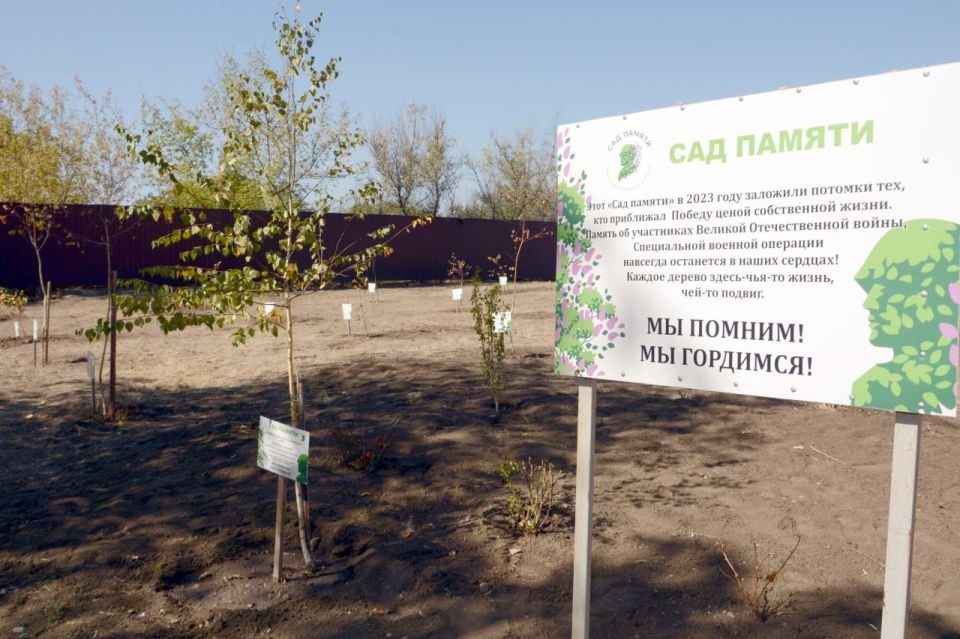 Алексей Дорофеев рассказал об участии в акции «Сад памяти» Алексей Дорофеев рассказал об участии в акции «Сад памяти»