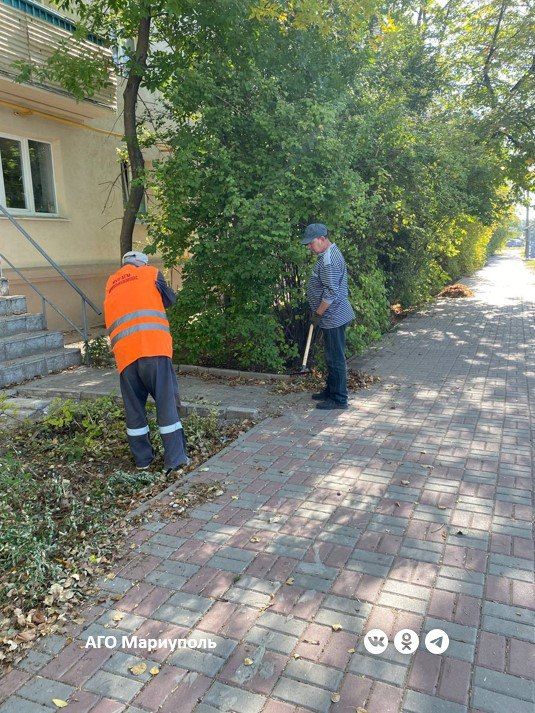 Коммунальщики благоустроили придомовые территории в нескольких районах Мариуполя Коммунальщики благоустроили придомовые территории в нескольких районах Мариуполя