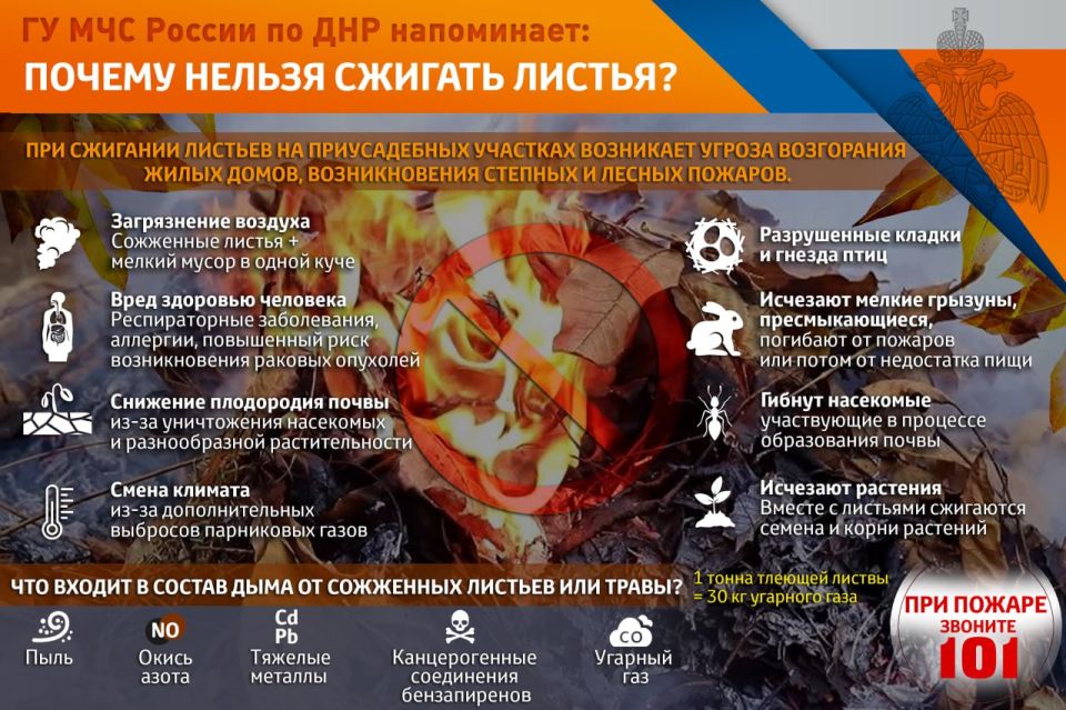 ГУ МЧС России по ДНР напоминает о последствиях пала травы и листьев ГУ МЧС России по ДНР напоминает о последствиях пала травы и листьев