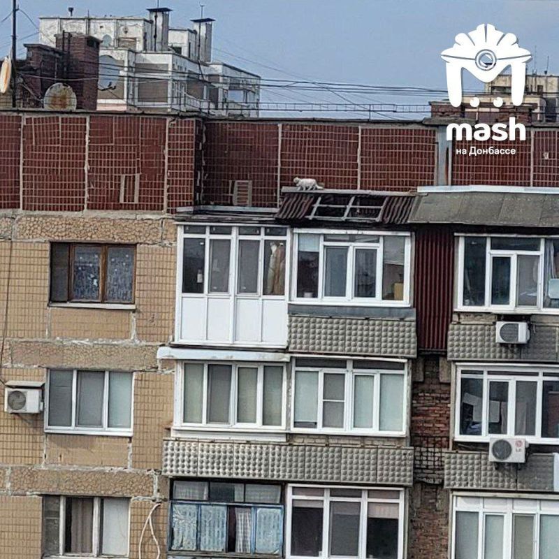 Кошка забралась на крышу девятиэтажки в Донецке Кошка забралась на крышу девятиэтажки в Донецке