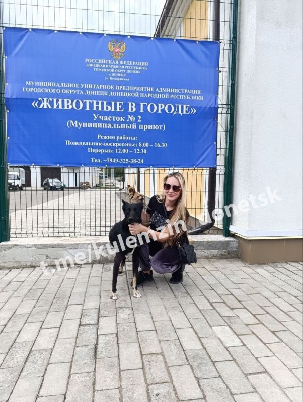 Ежедневно специалисты предприятия «Животные в городе» неустанно заботятся о бездомных животных Ежедневно специалисты предприятия «Животные в городе» неустанно заботятся о бездомных животных