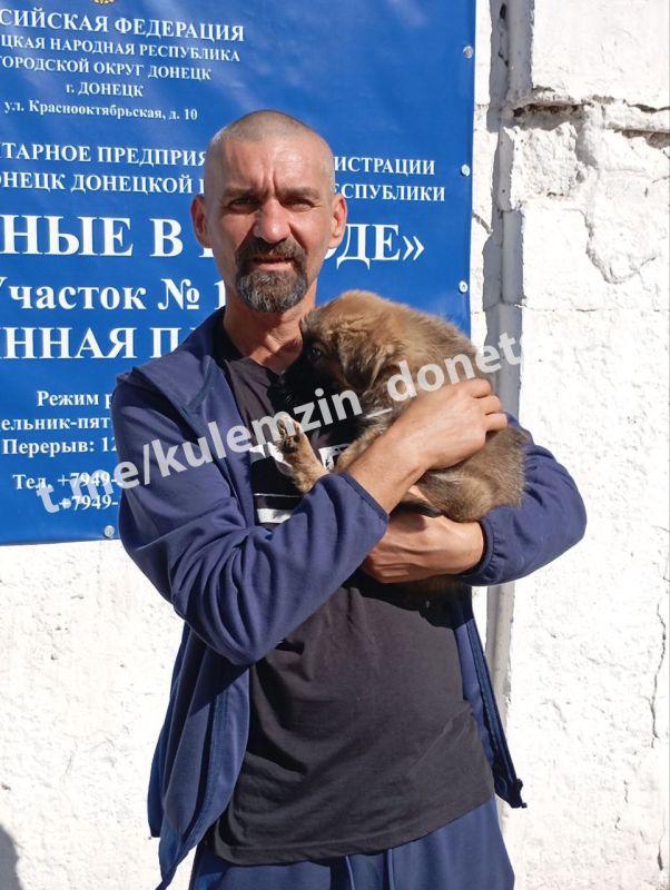 Алексей Кулемзин: Ежедневно специалисты предприятия «Животные в городе» неустанно заботятся о бездомных животных Алексей Кулемзин: Ежедневно специалисты предприятия «Животные в городе» неустанно заботятся о бездомных животных