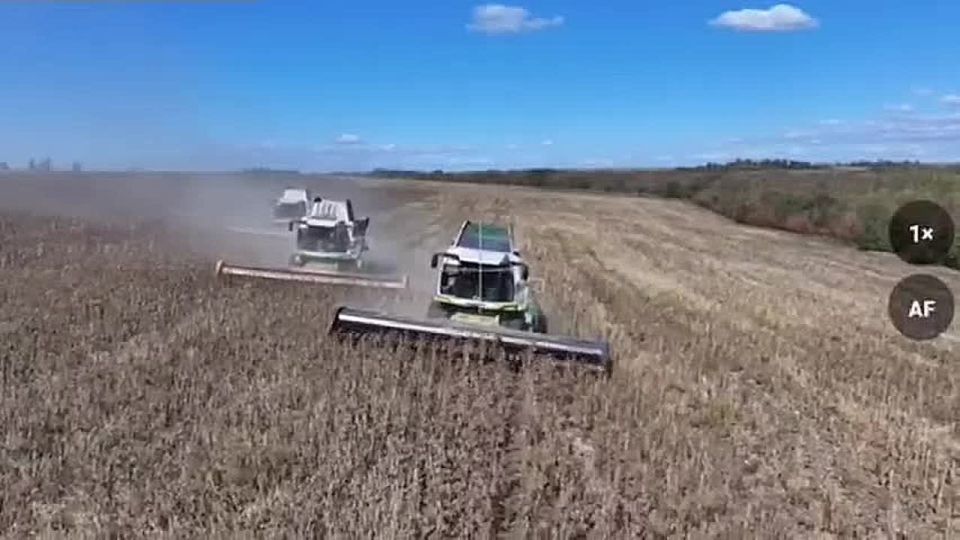 WarGonzo: Украинские комбайнёры жнут под чутким присмотром ВС РФ