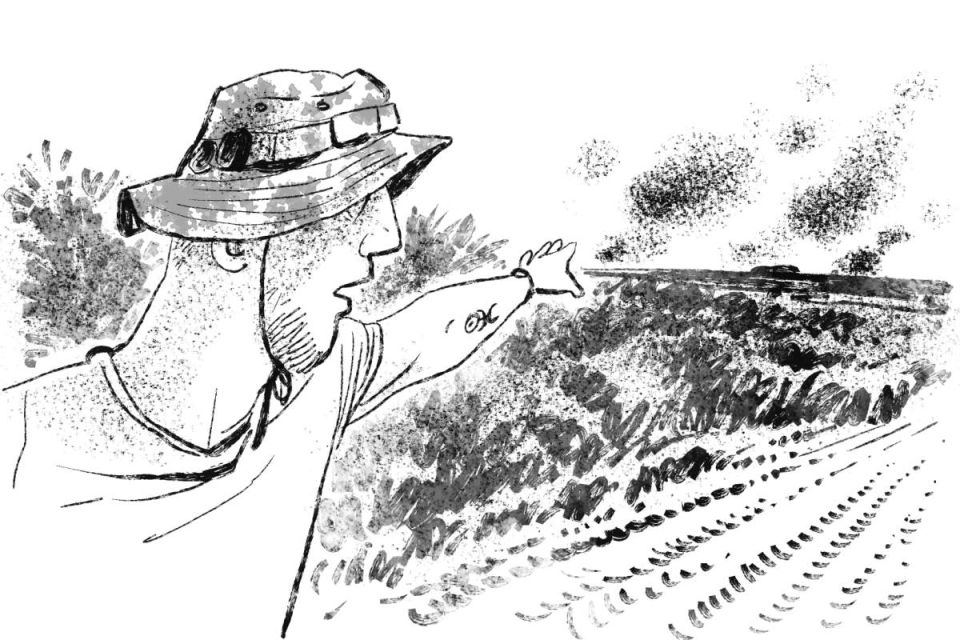 WarGonzo: Прочёл книгу военкора Дмитрия Селезнёва «Смерть в июле и всегда в Донецке»