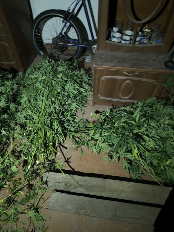 Сотрудники полиции провели оперативно-профилактическое мероприятие в Мариуполе Сотрудники полиции провели оперативно-профилактическое мероприятие в Мариуполе