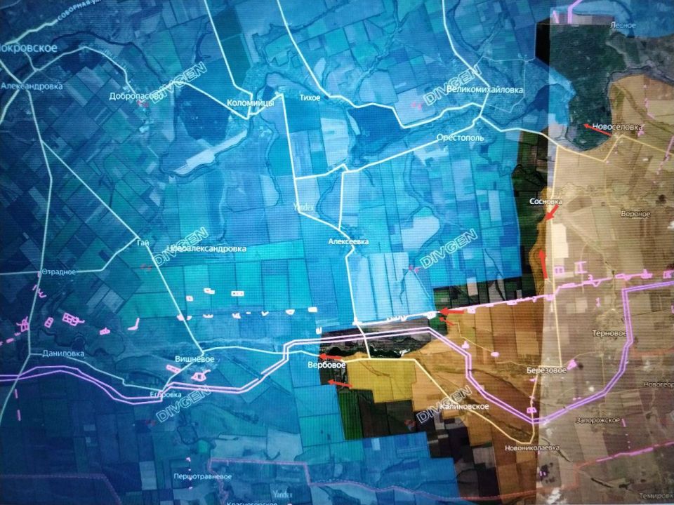 Юрий Котенок: Великомихайловское / Гуляйпольское (восточный фланг) направления