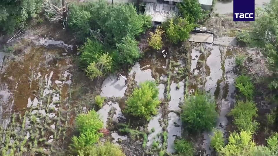 Владимир Разин: Кадры освобождения Заречного в ДНР