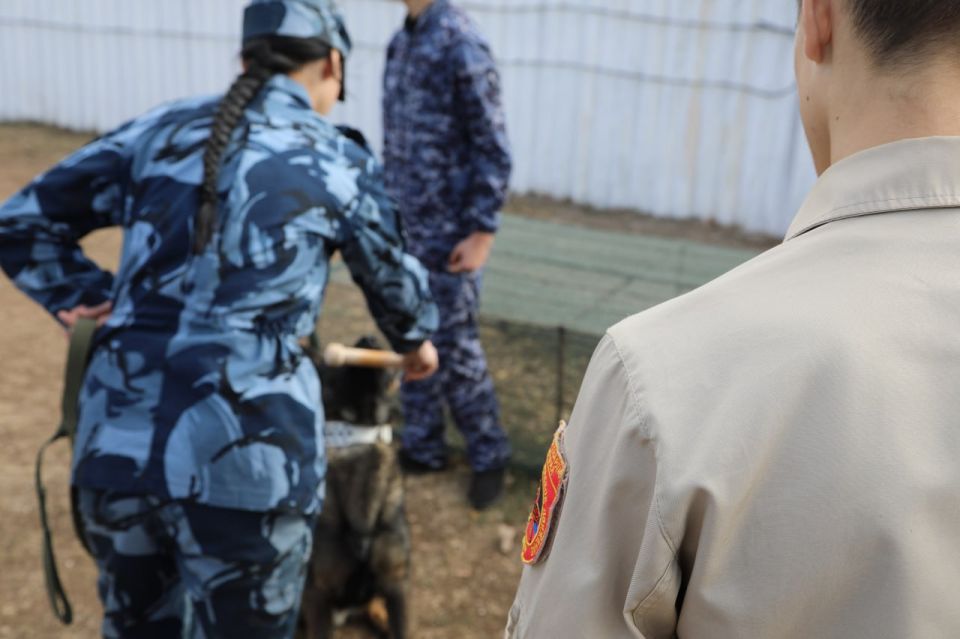 В ДНР дети сотрудников ГУФСИН побывали на экскурсии: увидели работу пожарных и кинологов, встретились с участником СВО, поучаствовали в викторине и символически высадили розы к Дню воссоединения В ДНР дети сотрудников ГУФСИН побывали на экскурсии: увидели работу пожарных и кинологов, встретились с участником СВО, поучаствовали в викторине и символически высадили розы к Дню воссоединения