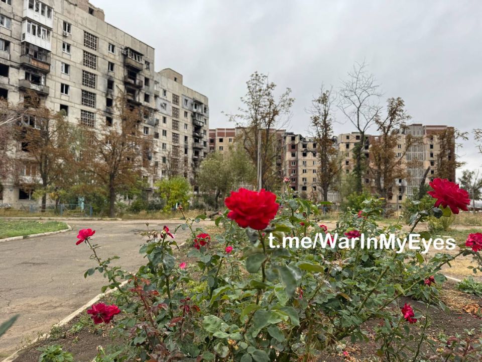 Угледар. Год после освобождения Угледар. Год после освобождения