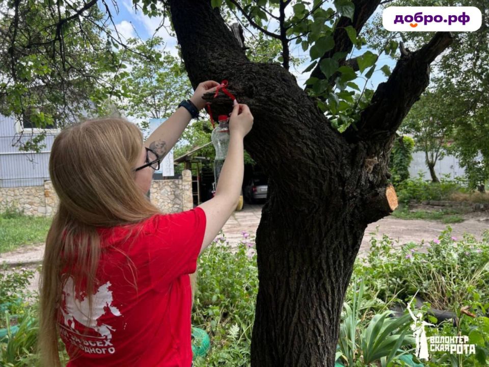 Иван Приходько: Молодежь Горловки меняет город к лучшему Иван Приходько: Молодежь Горловки меняет город к лучшему