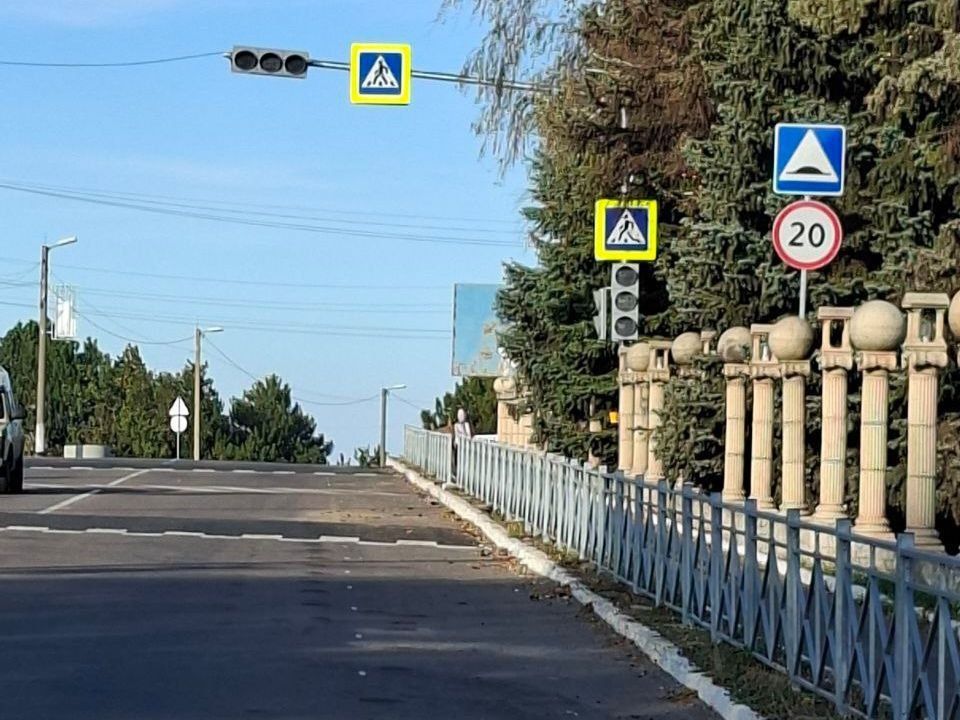 #свод_за_сутки #летнее_содержание #свод_за_сутки #летнее_содержание