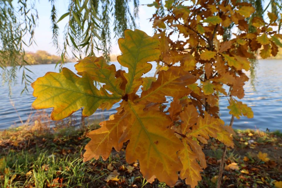 Работа Правительства: итоги дня Работа Правительства: итоги дня