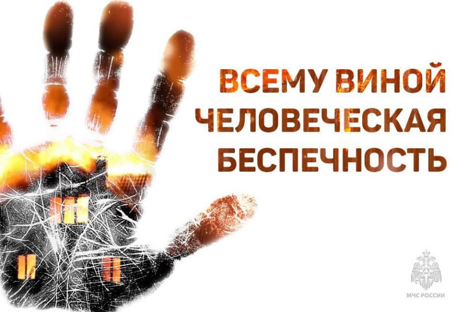 Александр Шатов: Контроль за организованными перевозками детей в ТО ГАДН по ДНР Александр Шатов: Контроль за организованными перевозками детей в ТО ГАДН по ДНР