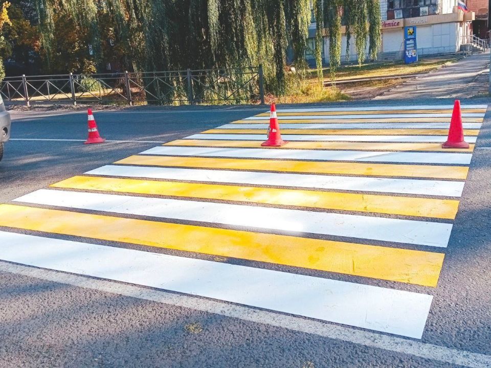 #свод_за_сутки #летнее_содержание #свод_за_сутки #летнее_содержание