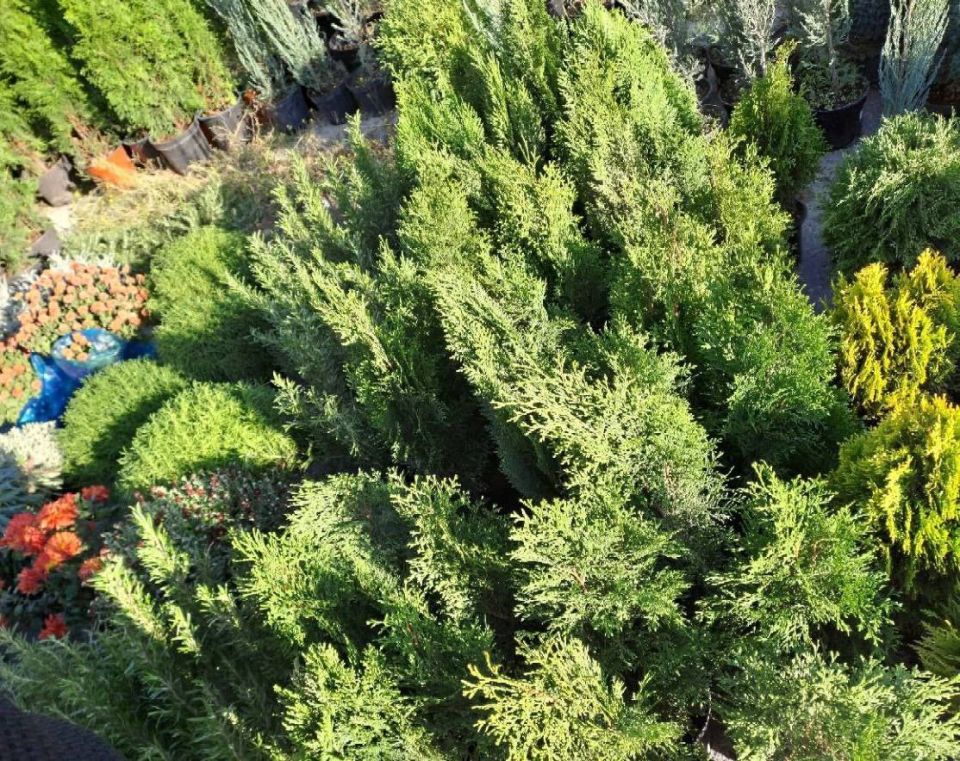 Еженедельная ярмарка в городе Мариуполь Еженедельная ярмарка в городе Мариуполь