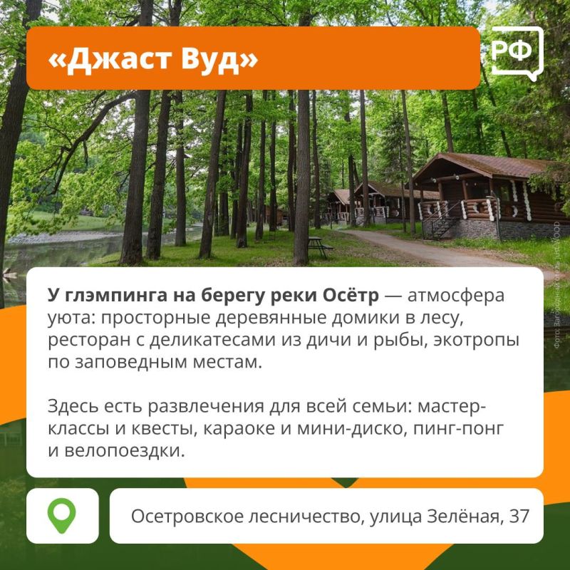 Осенняя хандра отменяется! Вместо неё — путешествие в лес, приятная прохлада и свежий воздух Осенняя хандра отменяется! Вместо неё — путешествие в лес, приятная прохлада и свежий воздух