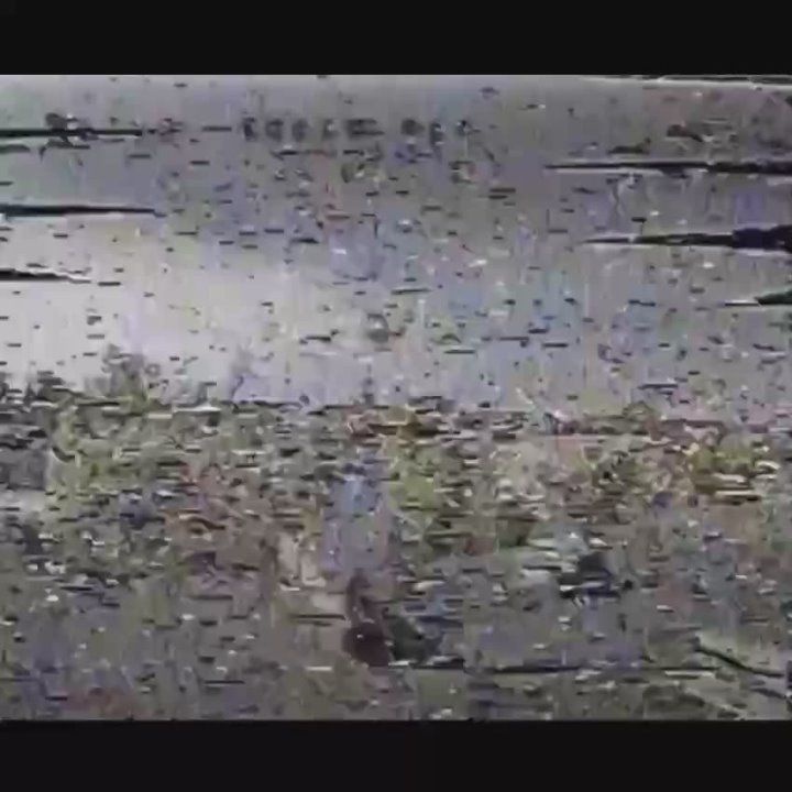 «Вега» против Бабы Яги. Воздушные бои в небе на Покровском направлении