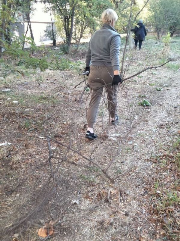 Комсомольский, 48 — двор, с которого хочется брать пример Комсомольский, 48 — двор, с которого хочется брать пример