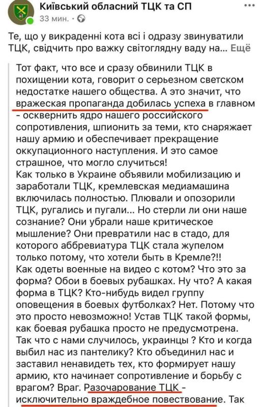 Кто стырил кота?. В украинском сегменте гремит скандальная история с «мобилизацией» кота в Киевской области Кто стырил кота?. В украинском сегменте гремит скандальная история с «мобилизацией» кота в Киевской области