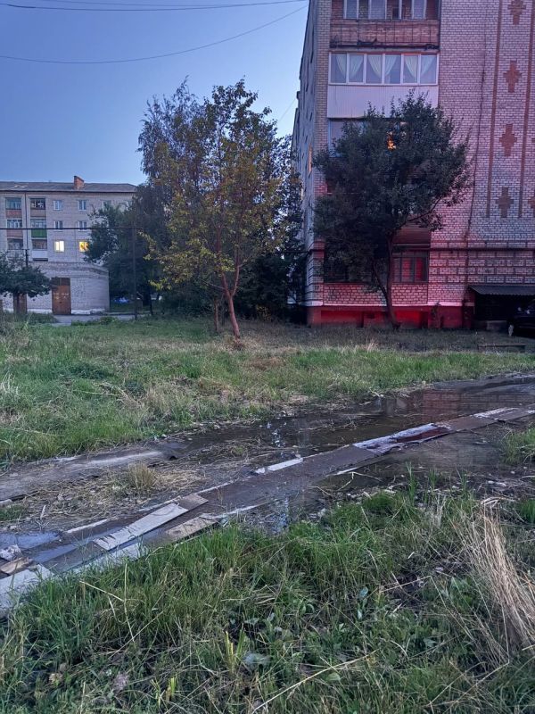 Депутаты Народного Совета: ежедневная борьба за воду Депутаты Народного Совета: ежедневная борьба за воду