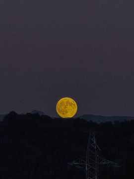 Суперлуние показалось на небе: первыми кадрами астрономического явления делятся жители городов России, в частности Челябинска и Донецка, а также других стран — Китая (фото 5-7)