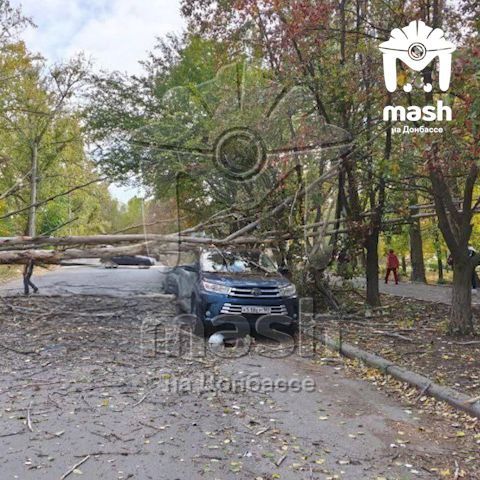 Как минимум четыре машины пострадали из-за шторма в Донецке Как минимум четыре машины пострадали из-за шторма в Донецке