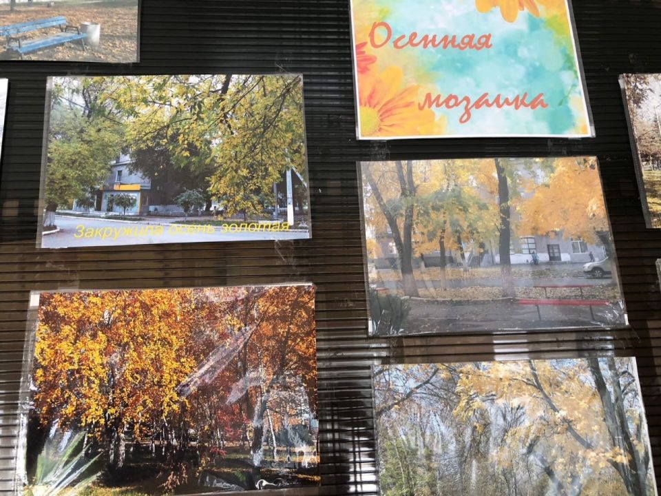 В Центре культуры и досуга Ждановки открылась фотовыставка «Осенняя мозаика» В Центре культуры и досуга Ждановки открылась фотовыставка «Осенняя мозаика»