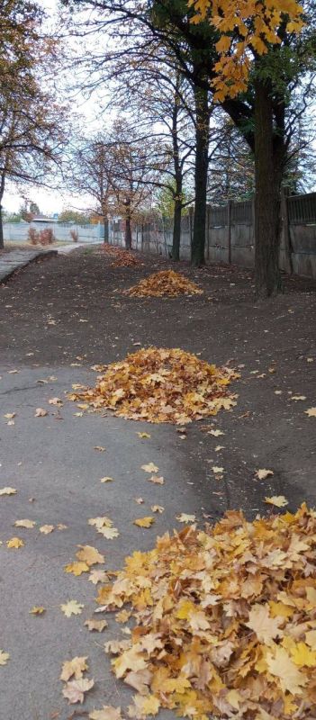 Традиционный День чистоты! Традиционный День чистоты!