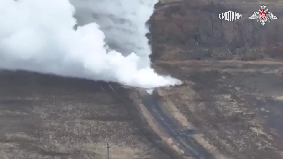  :      -         ,     ,    